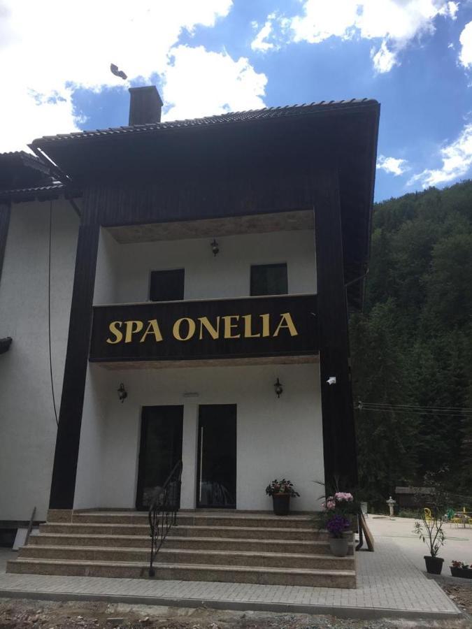 Pension Onelia Gârda de Sus Exterior photo