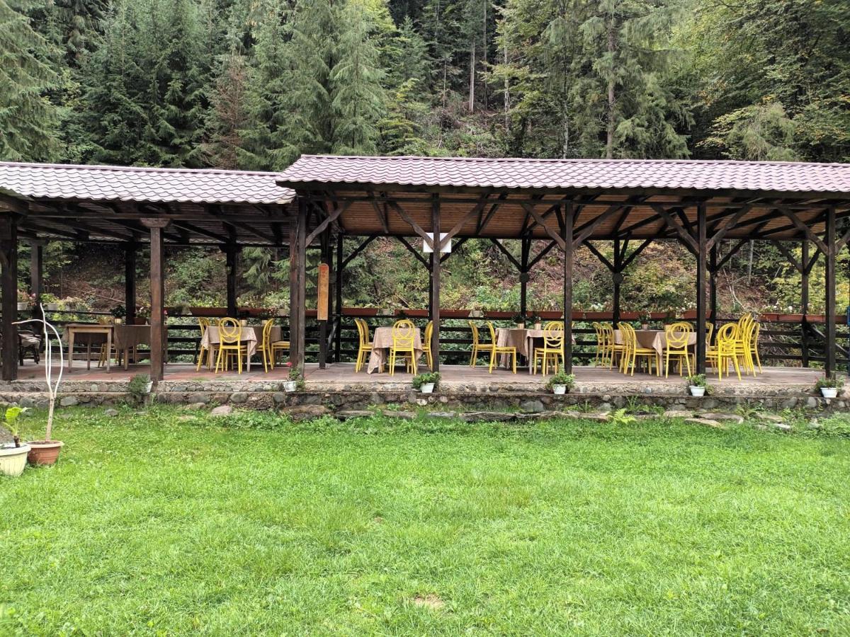Pension Onelia Gârda de Sus Exterior photo