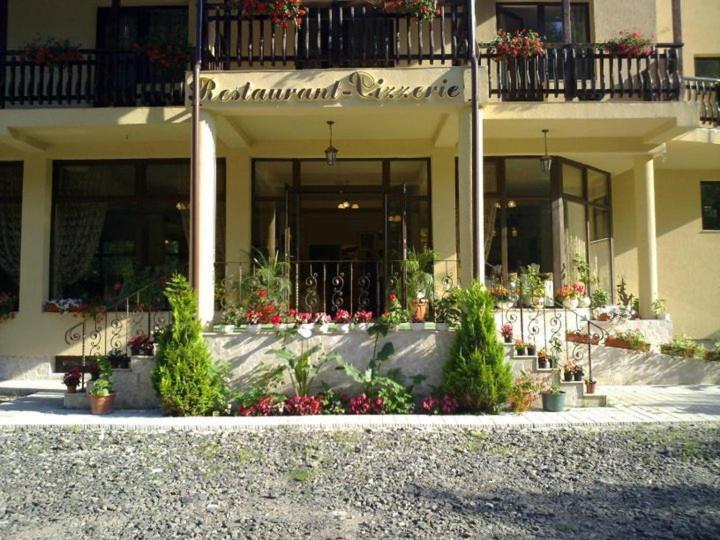 Pension Onelia Gârda de Sus Exterior photo