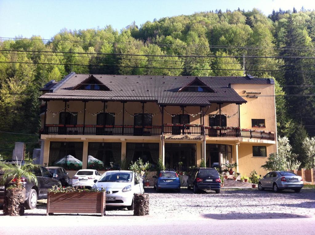 Pension Onelia Gârda de Sus Exterior photo